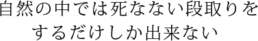 自然の中では死なない段取りをするだけしか出来ない