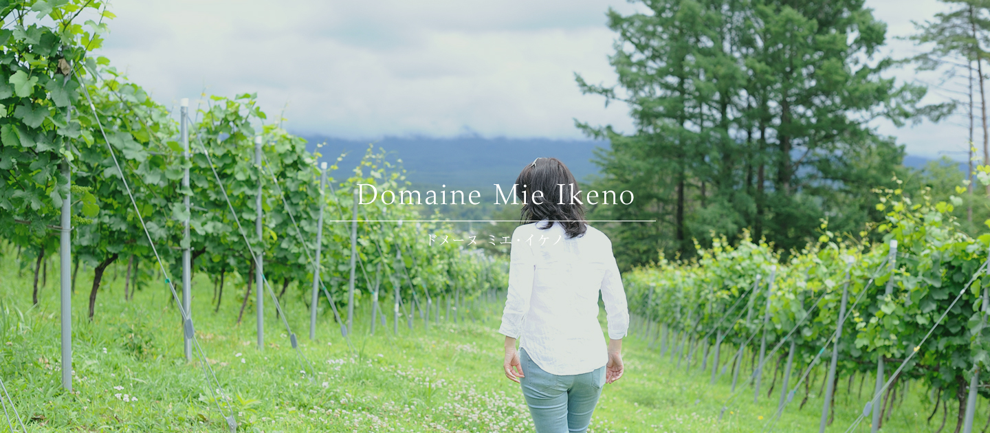 Domaine Mie Ikeno/ドメーヌ  ミエ・イケノ